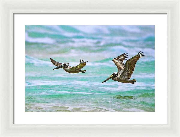 Turquoise Twins - Framed Print