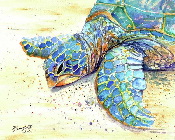 Turtle at Poipu Beach 4 - Art Print Art Print 1ArtCollection