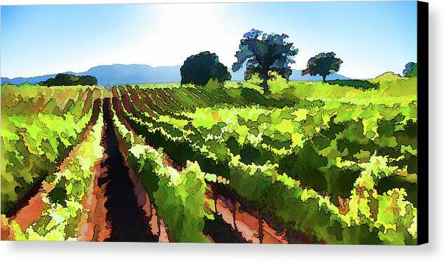 Vineyard Oaks - Canvas Print