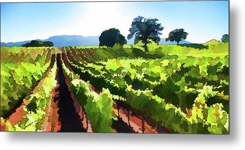 Vineyard Oaks - Metal Print