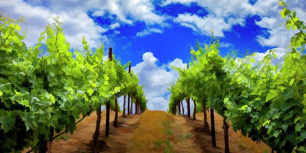 Vineyard Path - Art Print Art Print 1ArtCollection