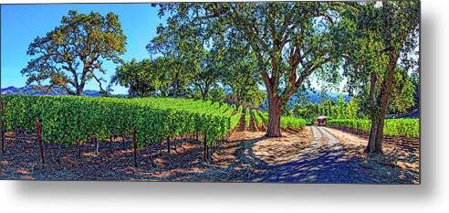 Vinyard Lane - Metal Print