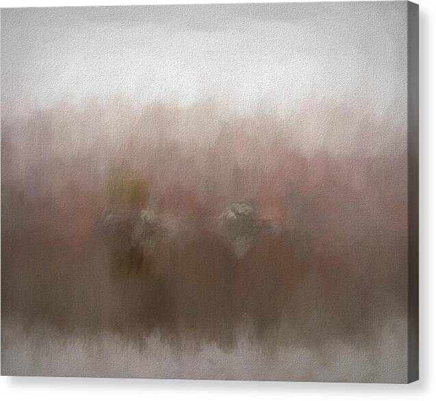 Widewater Abstract Reflection - Canvas Print