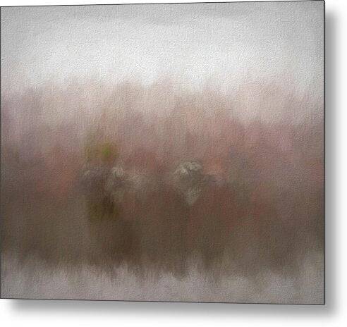 Widewater Abstract Reflection - Metal Print