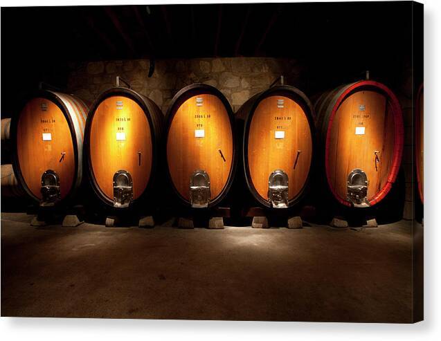 Wine casks in wine cellar - Canvas Print