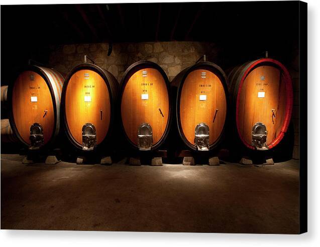 Wine casks in wine cellar - Canvas Print