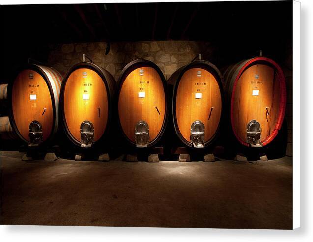 Wine casks in wine cellar - Canvas Print