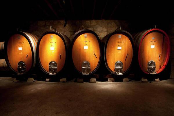 Wine casks in wine cellar - Art Print