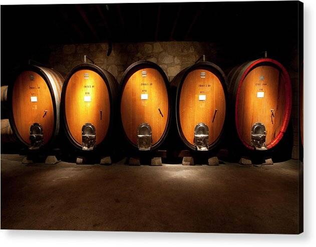 Wine casks in wine cellar - Acrylic Print