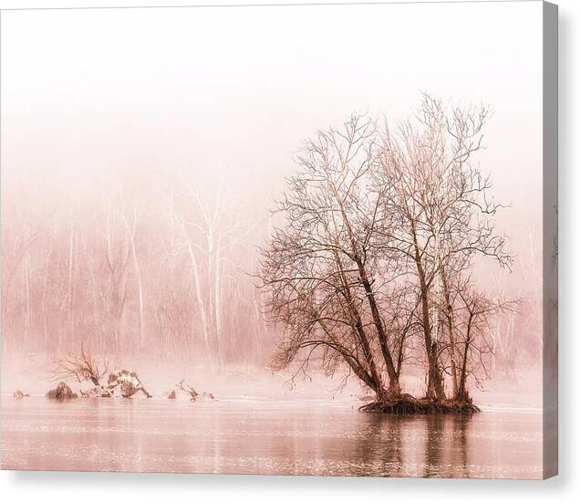 Winter Fog on the River - Sepia - Canvas Print