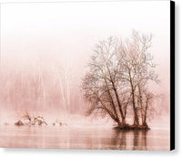 Winter Fog on the River - Sepia - Canvas Print