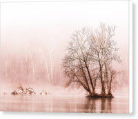 Winter Fog on the River - Sepia - Canvas Print