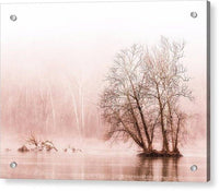 Winter Fog on the River - Sepia - Acrylic Print