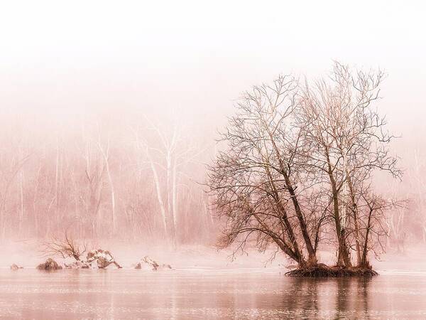 Winter Fog on the River - Sepia - Art Print