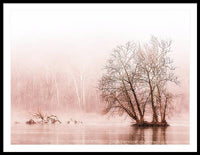 Winter Fog on the River - Sepia - Framed Print