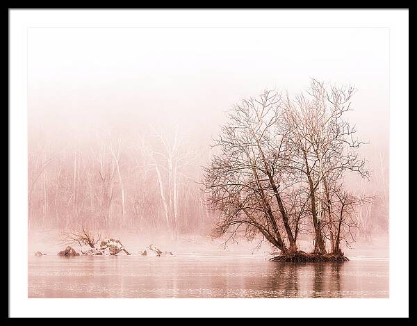 Winter Fog on the River - Sepia - Framed Print