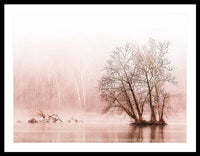 Winter Fog on the River - Sepia - Framed Print