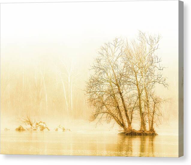 Winter Morning Fog on the River - Gold - Canvas Print