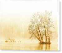 Winter Morning Fog on the River - Gold - Canvas Print