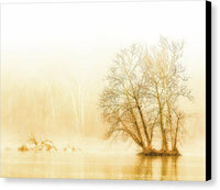 Winter Morning Fog on the River - Gold - Canvas Print