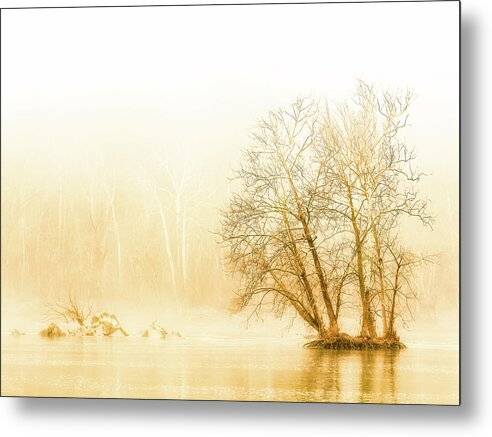 Winter Morning Fog on the River - Gold - Metal Print