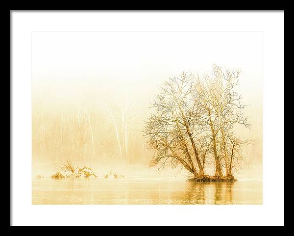 Winter Morning Fog on the River - Gold - Framed Print