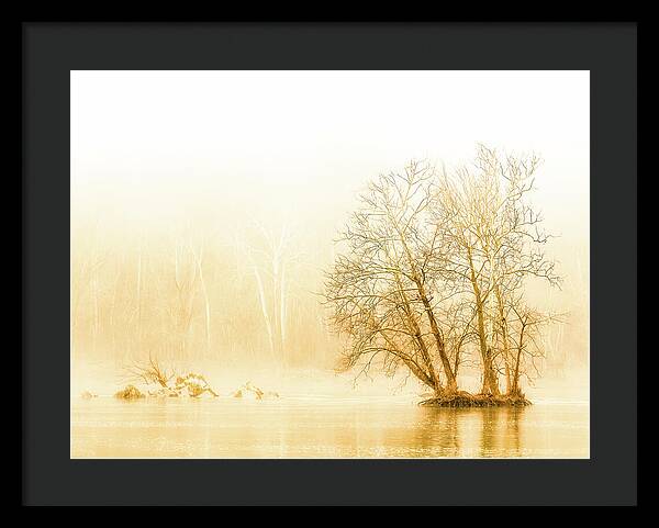 Winter Morning Fog on the River - Gold - Framed Print