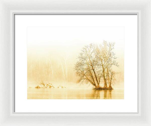 Winter Morning Fog on the River - Gold - Framed Print