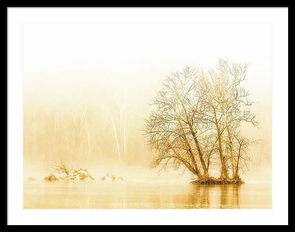 Winter Morning Fog on the River - Gold - Framed Print