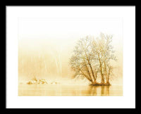 Winter Morning Fog on the River - Gold - Framed Print