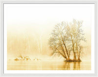 Winter Morning Fog on the River - Gold - Framed Print