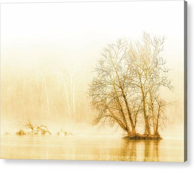 Winter Morning Fog on the River - Gold - Acrylic Print