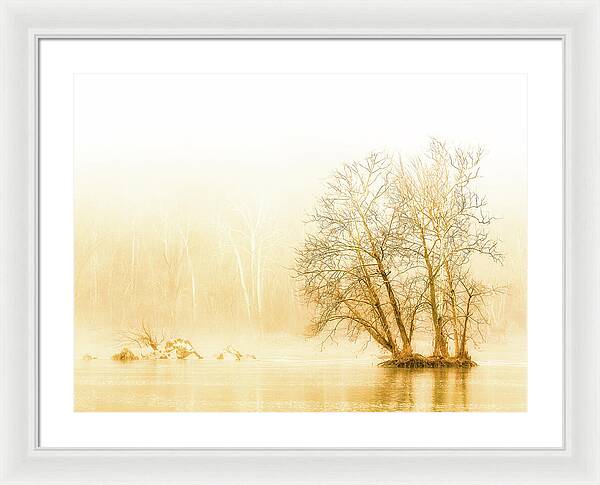 Winter Morning Fog on the River - Gold - Framed Print