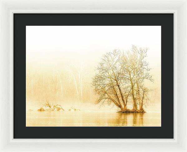 Winter Morning Fog on the River - Gold - Framed Print