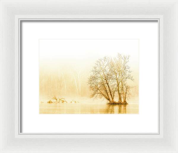 Winter Morning Fog on the River - Gold - Framed Print