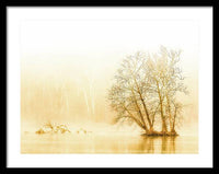 Winter Morning Fog on the River - Gold - Framed Print