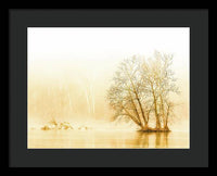 Winter Morning Fog on the River - Gold - Framed Print