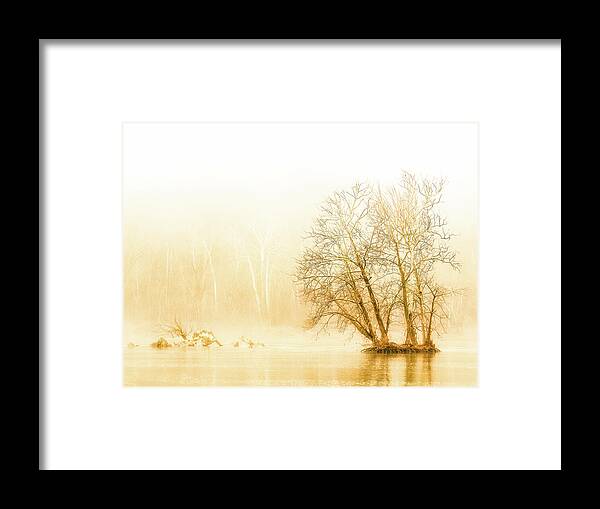 Winter Morning Fog on the River - Gold - Framed Print