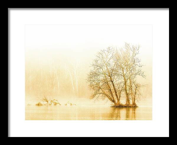 Winter Morning Fog on the River - Gold - Framed Print