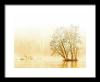 Winter Morning Fog on the River - Gold - Framed Print