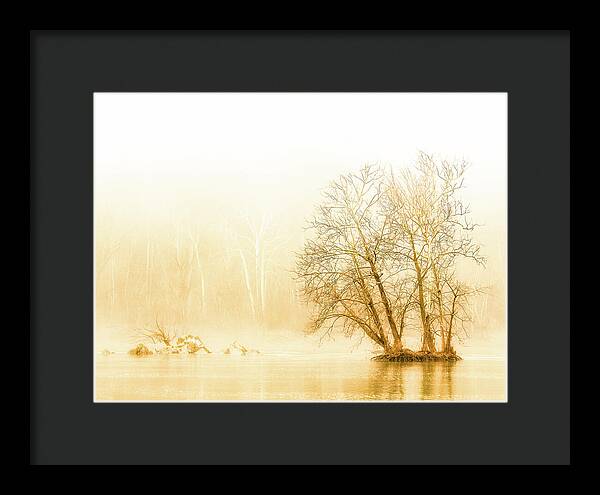 Winter Morning Fog on the River - Gold - Framed Print