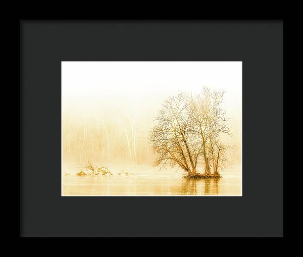 Winter Morning Fog on the River - Gold - Framed Print