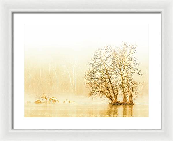 Winter Morning Fog on the River - Gold - Framed Print