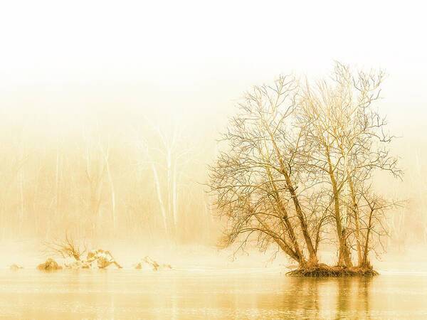 Winter Morning Fog on the River - Gold - Art Print