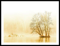 Winter Morning Fog on the River - Gold - Framed Print