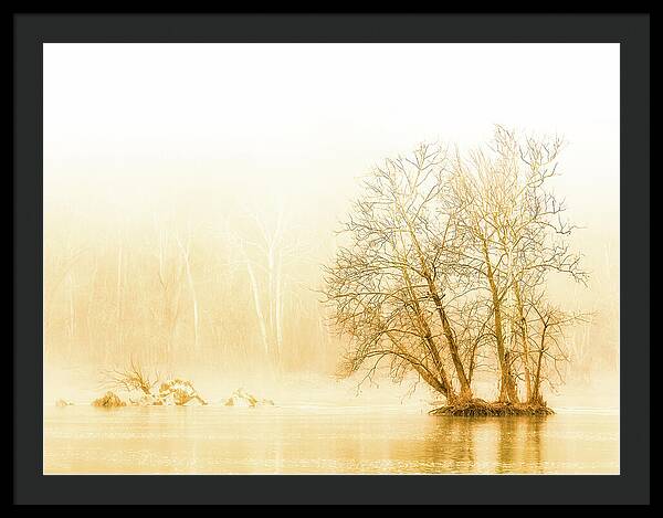 Winter Morning Fog on the River - Gold - Framed Print