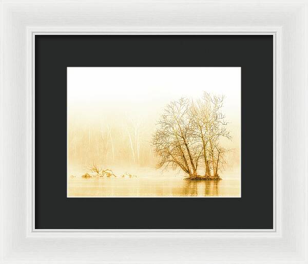 Winter Morning Fog on the River - Gold - Framed Print