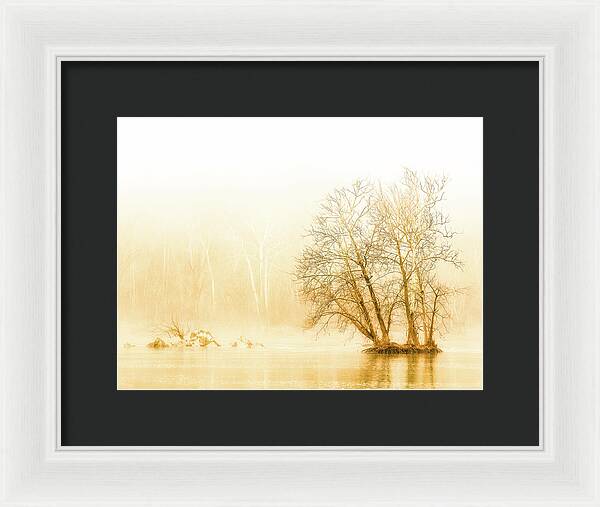 Winter Morning Fog on the River - Gold - Framed Print