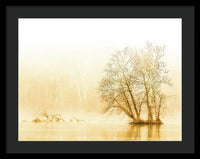 Winter Morning Fog on the River - Gold - Framed Print