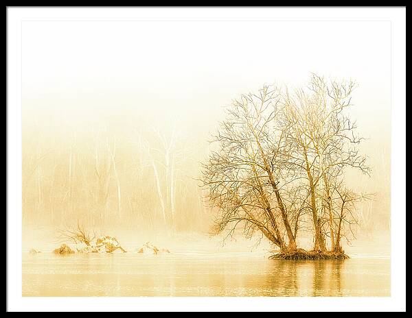 Winter Morning Fog on the River - Gold - Framed Print